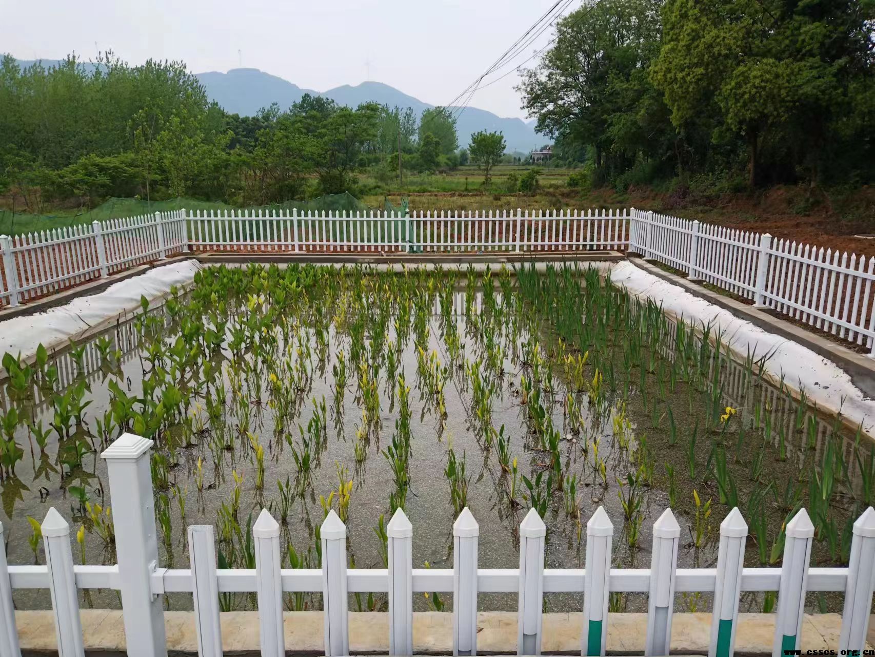 会员风采（一）长沙德邦湘乡市农村人居环境整治项目开工大吉